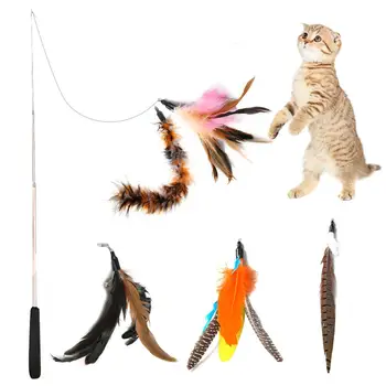 Pcsset Интерактивна перо котка играчка домашен любимец риболовен прът прибиращи се пера смешно котка полюс с пет подмяна главата перо играчки