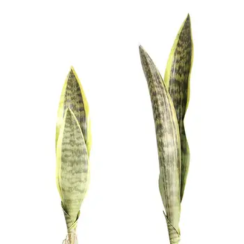 Фалшиви растения Sansevieria Вътрешни саксийни тропически тропически дълги листа пластмасови Sansevieria клон DIY открит фалшиви растения за дома